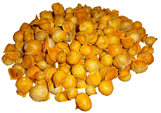 Japanese Garlic (Ajo Japones) 100% Natural!!! 10 LB