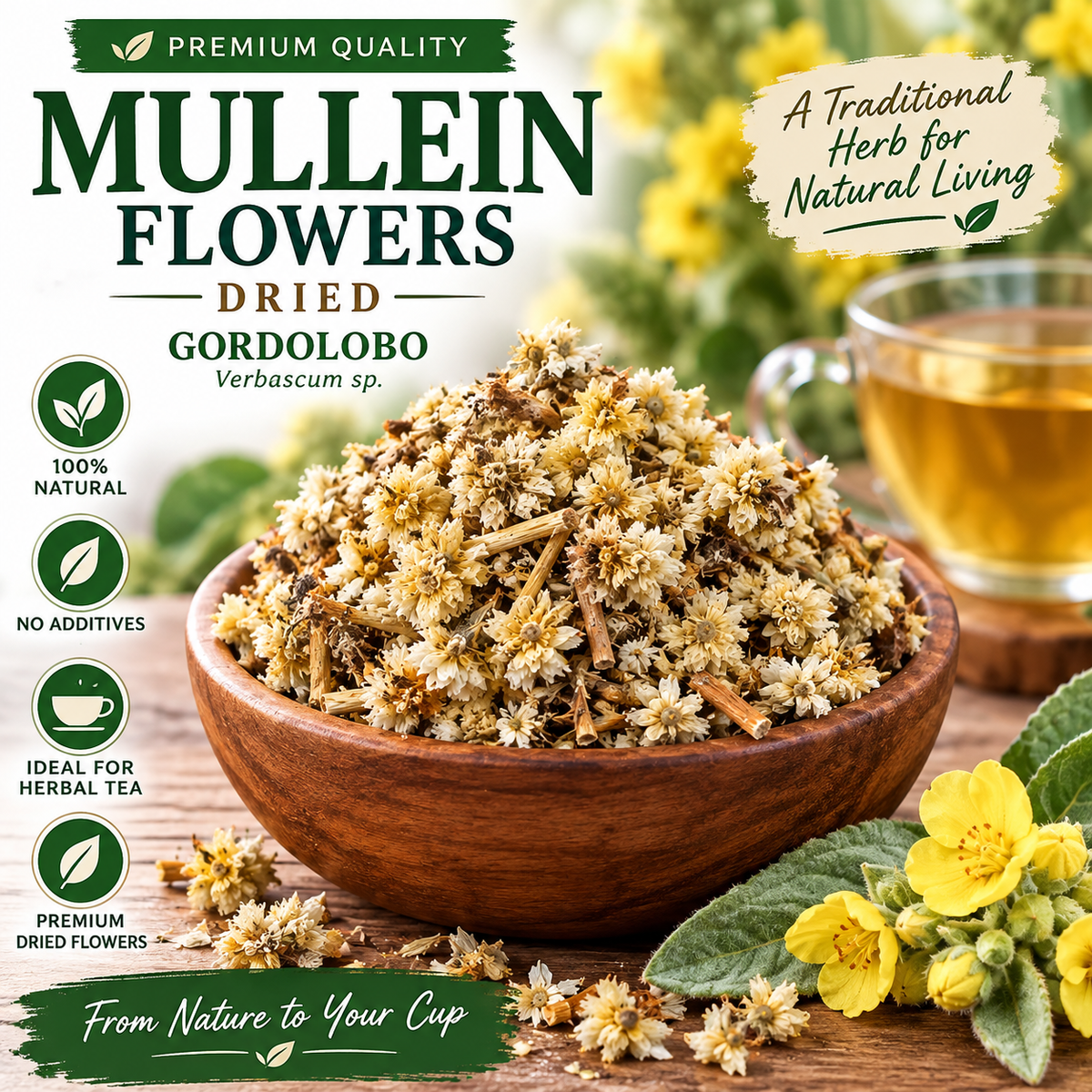 Mullein Flowers Dried – Whole Verbascum Flowers | Gordolobo Seco | 2 oz and 4 oz.