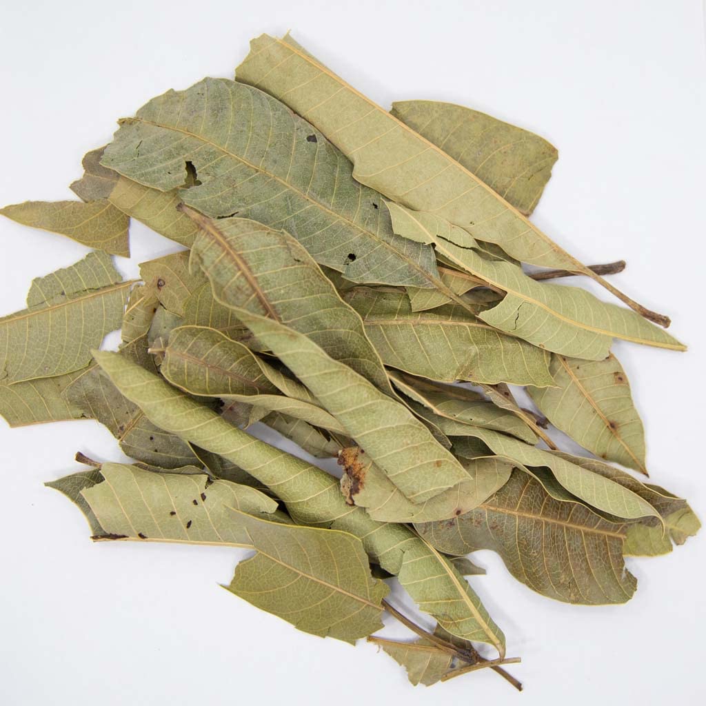 Natural Whole Dried Mango Leaves, Mango Loose Leaf Tea, (Hojas de Mango): 2 oz and 4 oz.