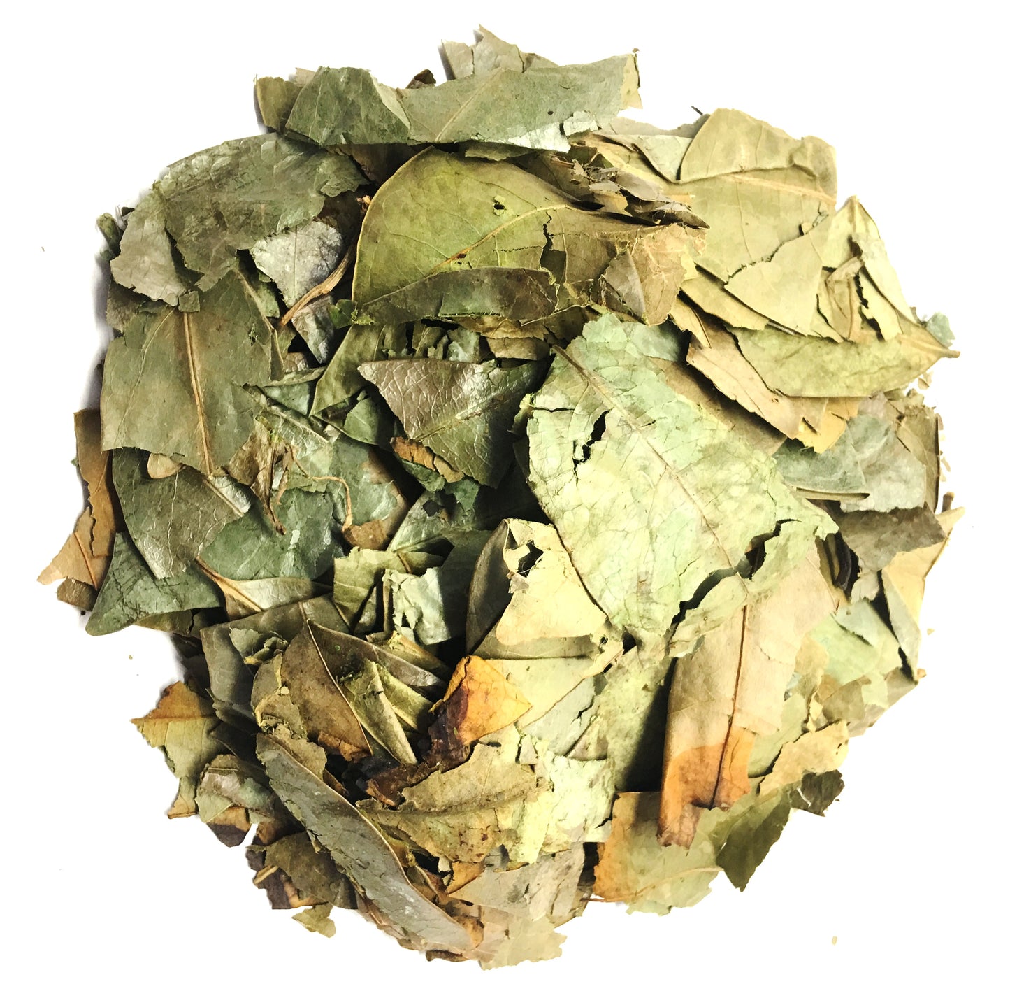 Dried Graviola Leaves, Dried Soursop Tea Leaves, Hojas de Guanabana 2 oz