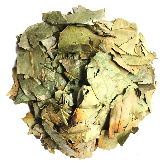 Dried Graviola Leaves, Dried Soursop Tea Leaves, Hojas de Guanabana. 5 Lbs.