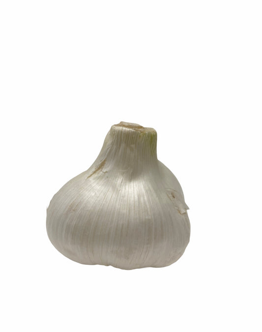 Elephant Garlic (Ajo Elefante) Sorted Bulbs! Great for Fall Planting! 15 Lbs