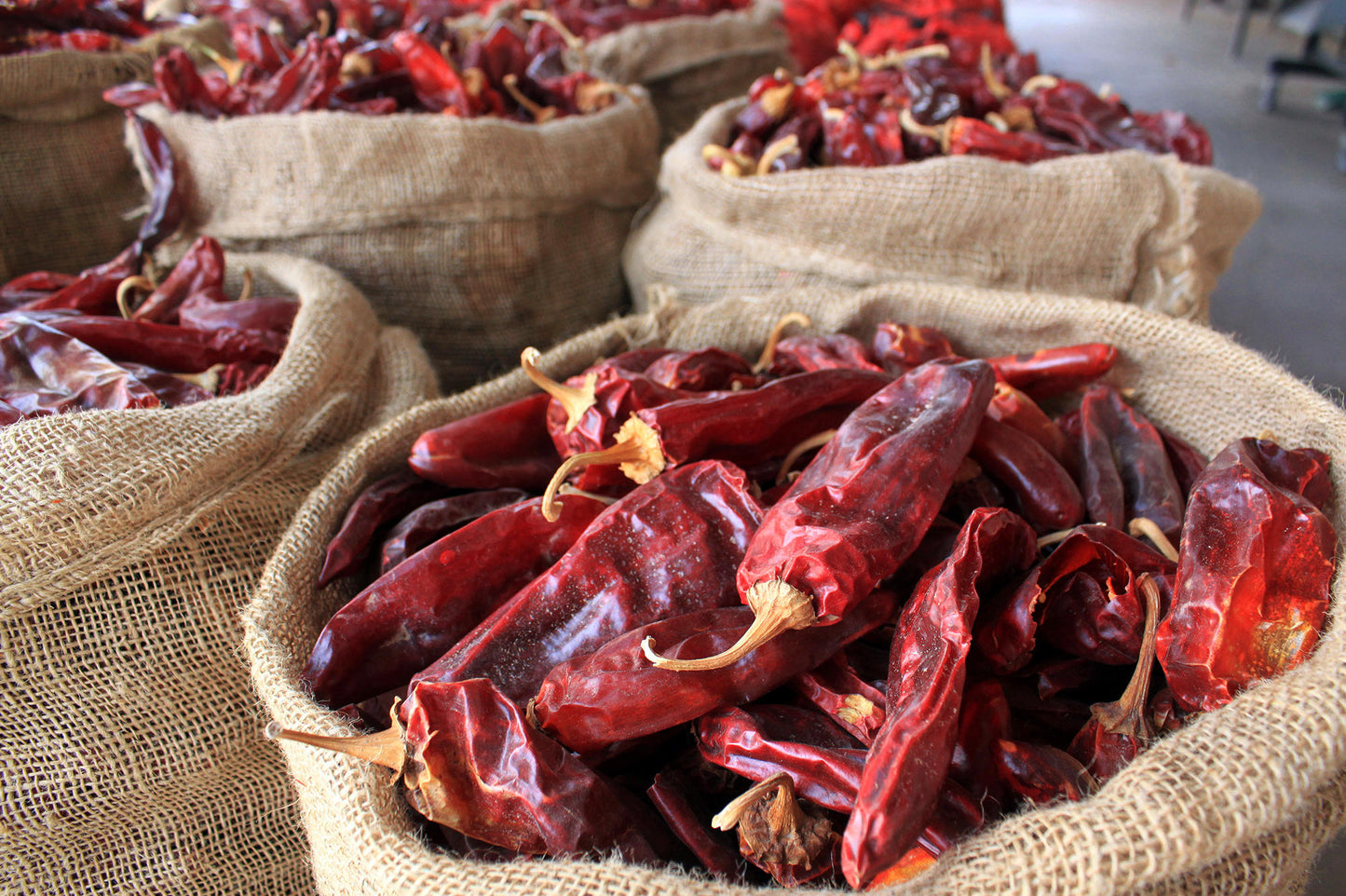 Dried Hatch New Mexico Chile Pepper, Red Chili Pods. 1 Lb