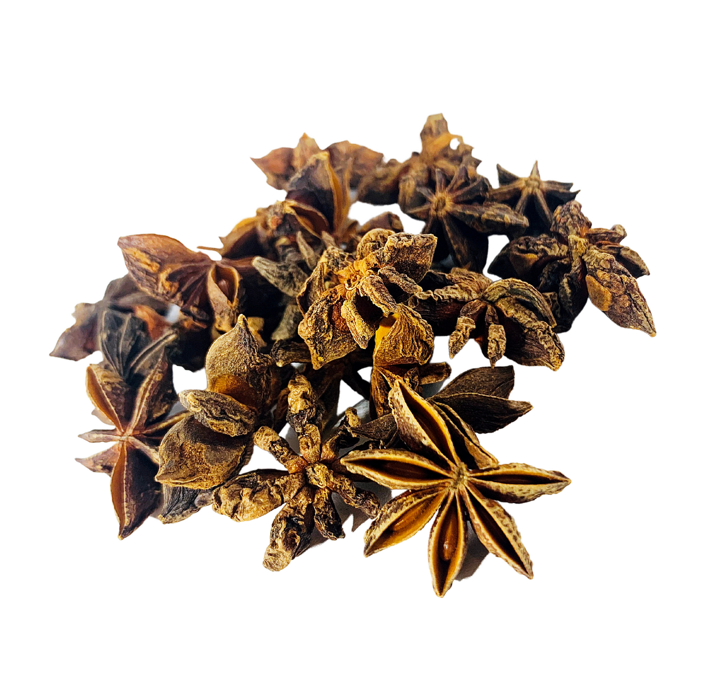 Star Anise Seeds or Star Anise Pods (Anis Estrella) (2 lb)