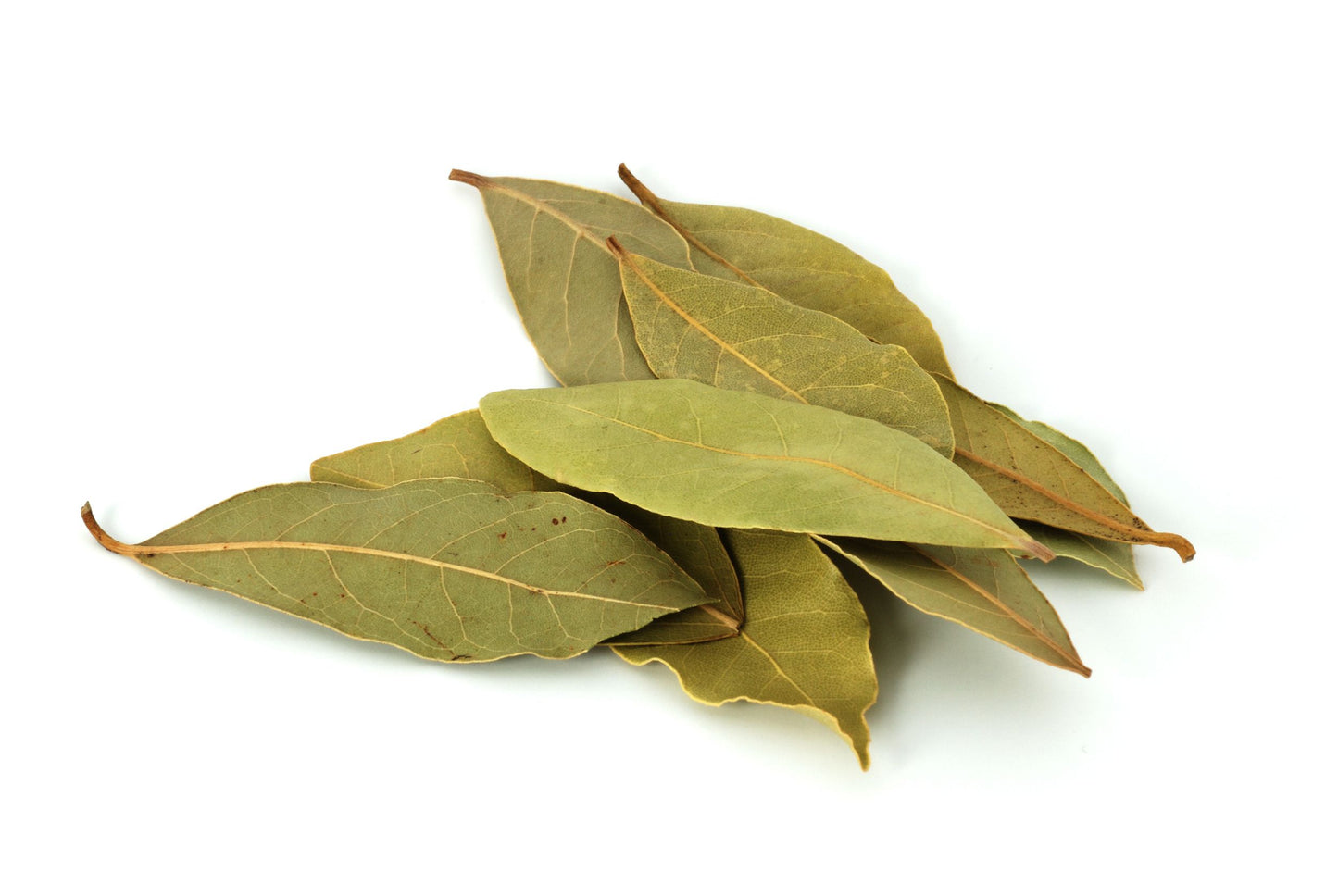 Whole Bay Leaves, Dried Bay Leaf, Hoja de Laurel 1 lb