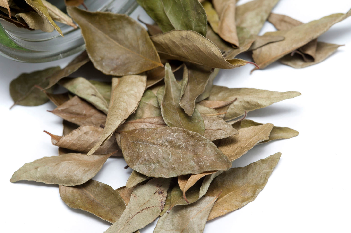 Whole Bay Leaves, Dried Bay Leaf, Hoja de Laurel 5 lbs