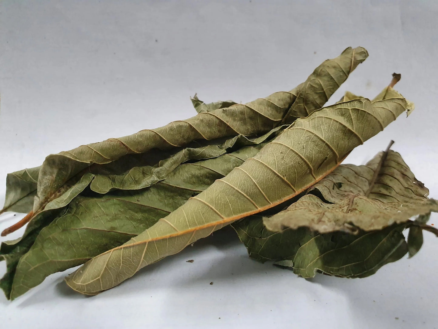 Dried Guava Leaves, Hojas de Guayaba, Loose Guava Leaf Tea 2 oz