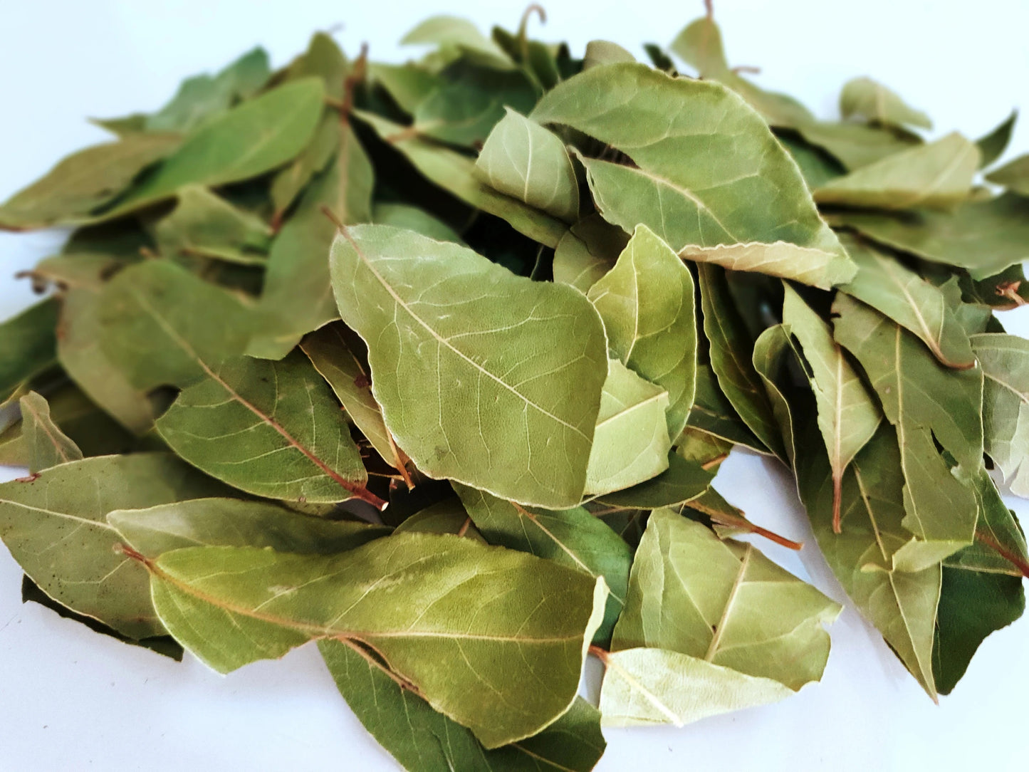 Whole Bay Leaves, Dried Bay Leaf, Hoja de Laurel 1 lb