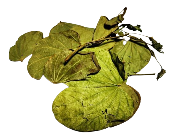 Te Herbal Pata De Vaca (Bauhinia forficata). Herbal Tea (Cow's Foot Leaves). 1 oz and 4 oz.